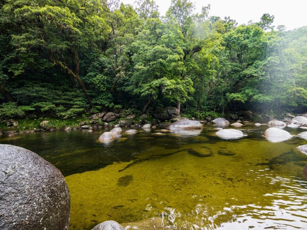River bank